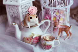 bjdswithpets:Lettie’s teatime by Sarqq