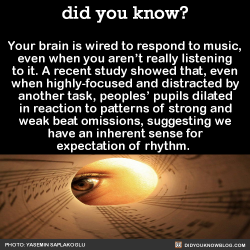 did-you-kno:  Your brain is wired to respond to music, even when