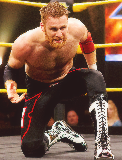 Aside from being a great wrestler I find Sami Zayn really hot!