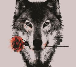 I’m a lonewolf but I think I’m ready to have a girlfriend…