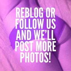 mollymakesussexy:  Reblog or Follow Us!