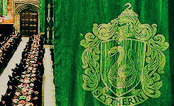  The magic begins        ↳ your house: Slytherin 