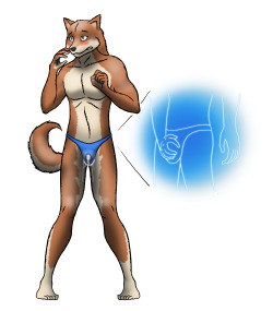 This shiba’s wearing a speedo stitched with fibers that allow