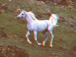 linachristina.tumblr.com/post/38391384050/