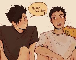 noranb:  Here we see Kuroo teasing his way into a full-blown