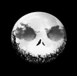 halloweenpictures:  👻👻👻🎃🎃👻🎃👻🎃
