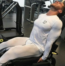 MUSCLEINGEAR