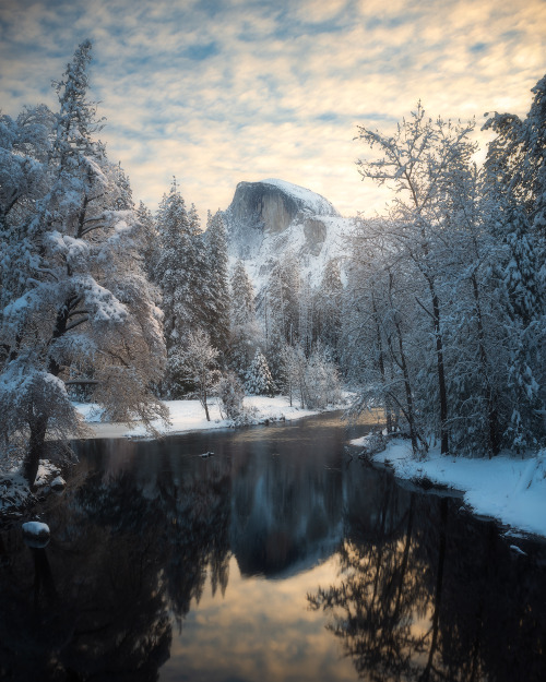 oneshotolive:  Winter wonderland in Yosemite National Park, California