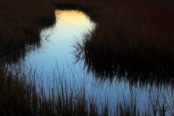 hueandeyephotography:  Tidal creek, Shem Creek, Mt. Pleasant,