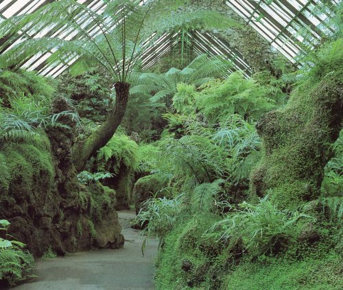 vintagehomecollection:  The Fernery at Southport Botanic Garden