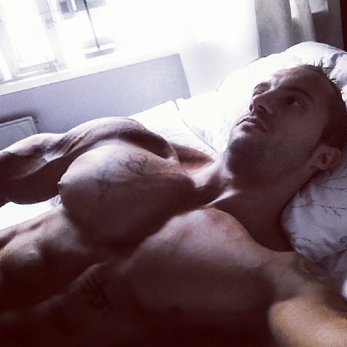 tumblr photo builddudebuild 0