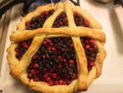 be-lilaced: my brother and i made anarchy pie Oh my god sammy