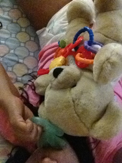 Playing with teddy :3