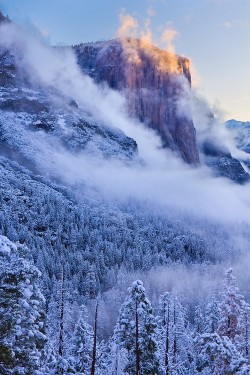 wonderous-world:  Yosemite, California, United States by Mark