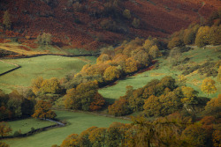 wanderthewood:Cumbria, England by Benjamin Driver