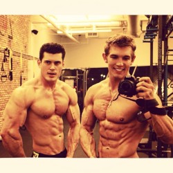 studposse:  gettin’ real big while stayin’ ripped