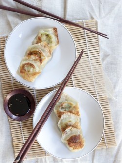 draggedqueens:  dejavu1973:  Chinese Fried Dumplings  Holy  