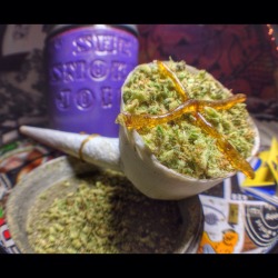 shesmokesjoints:  I rolled up this joint pipe today ^_^  ……………………..shows