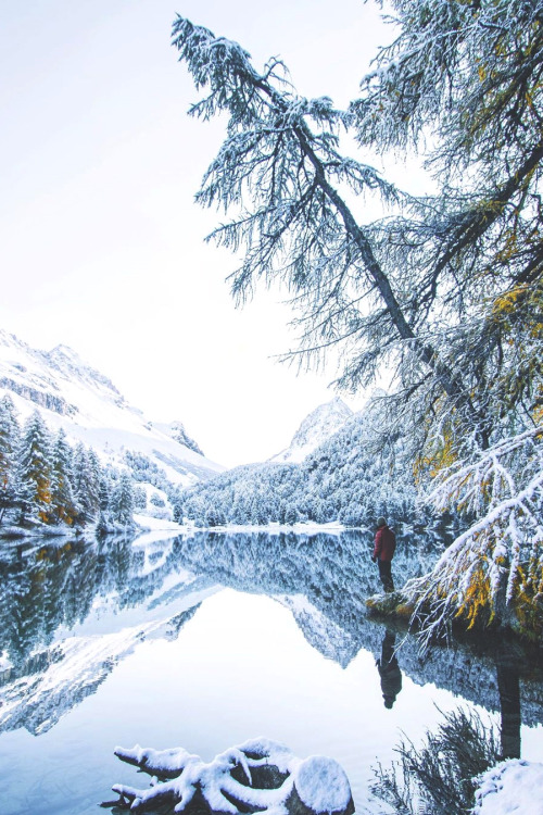 lsleofskye:    Calm morning at the lake ❄️ | janppeterLocation: