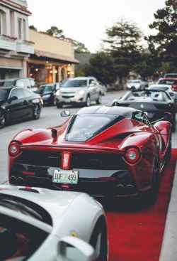 lavishlawyer:  Red carpet.