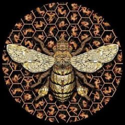 backwrdblackbrd:  The Last Honeybee By Garth Knight 