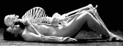 slobbering:‘Nude With Skeleton’ by Marina Abramović