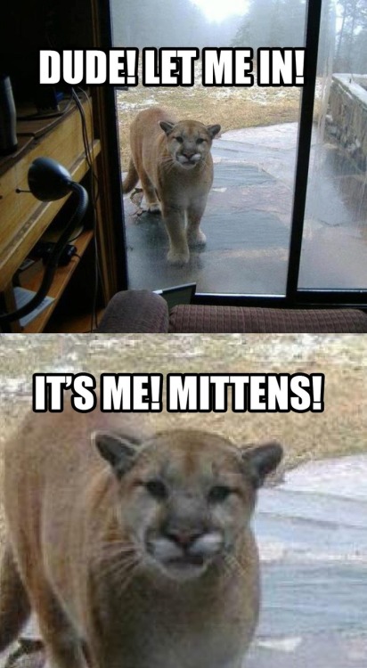 You looked smaller when I let you out