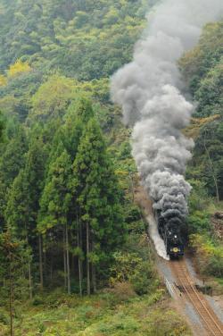 bluepueblo:  Forest Rail, Alaska photo via heyfiki 