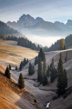 renamonkalou:Moody fields in the Dolomites 📷 Martin Rak