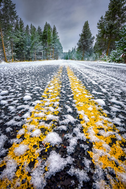 jamas-rendirse:  Snow-Covered Road in Yellowstone National Park