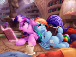 twidashlove:  A soft Twi~pillow and a cup of cocoa, perfect.