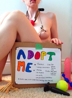 devotedlittepet:  Playing stray pet at the pound :3   Who wouldn’t