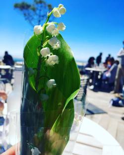 Happy May 🌱 In France May Day is also the Fête du Muguet