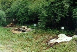 thetallblacknerd:  dichotomized:  A body farm is a research facility