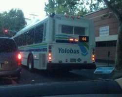 Let’s get on the YOLObus
