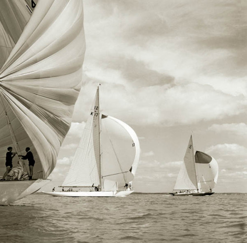 12s at Cowes Week 1962Photo by Eileen Ramsay