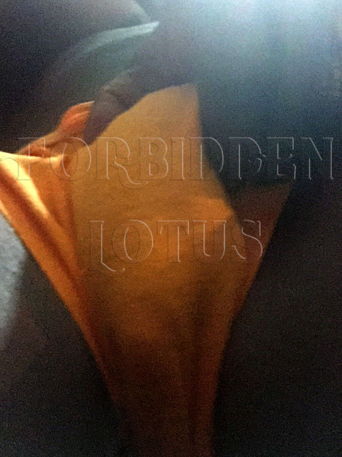 forbiddenlotus:  forbiddenlotus:My mighty clit bulge…cum indulge ur big clit desires @Forbiddenlotus.com…please take advantage of my NEW member DISCOUNT!! Available for a limited time only!! Starting for as little as  บ.99 for a full 7 days!! click