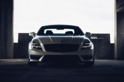 williamstern:  ADV.1 Mercedes CLS 63 AMG Head On. 