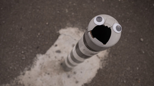 wilwheaton: archiemcphee:  With everything that’s going on in the world right now, googly eyes are more important than ever. The seemingly benign act of eyebombing, like these outstanding works by Bulgarian eyebomber Vanyu Krastev of Eyebombing Bulgaria,
