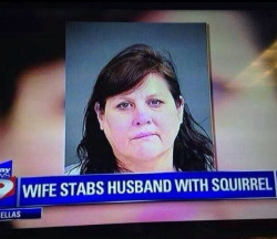 toodamnedoldforthis:  “And then he ran into my squirrel. He