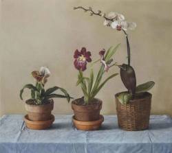 blastedheath: Claudio Bravo (Chilean 1936-2011), Orchids, 1985.