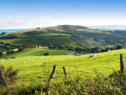 allthingseurope:   Wales (by Michael Hopkinson Hayes)