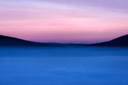 spctre:  Fog I / Ivan Dokov 