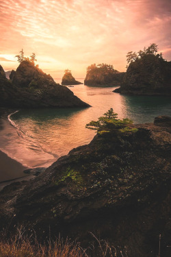 lsleofskye:  Pacific Northwest | frank.shoots