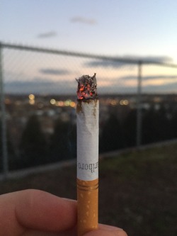 Fucked my way up to the top