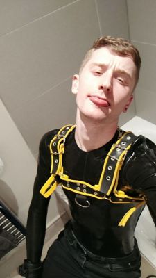 pup-rolo:  Puppy had a blast at the Geared Ireland TapAss dinner