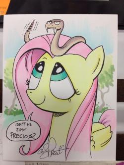 cocoa-bean-loves-fluttershy:  From Andy Price’s Twitpic.  x3