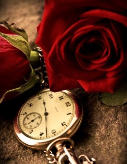 raphaelvodnikbellantonio:  E’ l’ora dell’amore