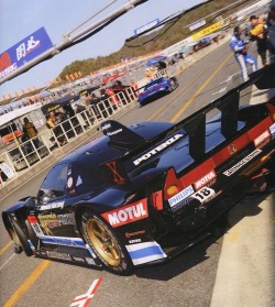 adoboandgarlicrice:  DOMU ROCKSTAR MUGEN NSX