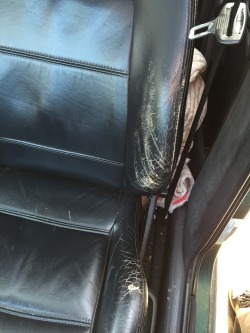 Mk3 Jetta leather seats and door cards forsale … Best